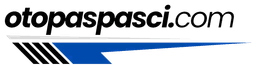 otopaspasci.com
